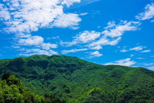 青山 山岭