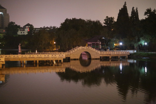 扬州荷花池夜景