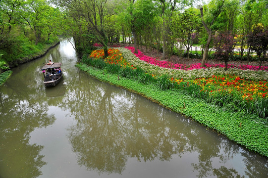 春季繁花与观光船