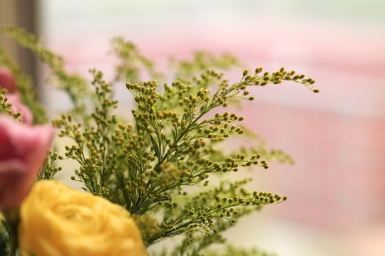 鲜花 花束 黄莺