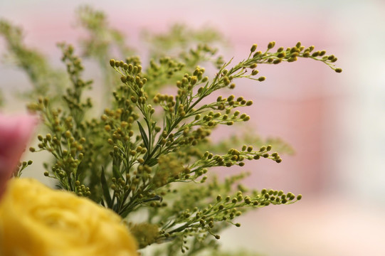 花卉 花束 鲜花 装饰