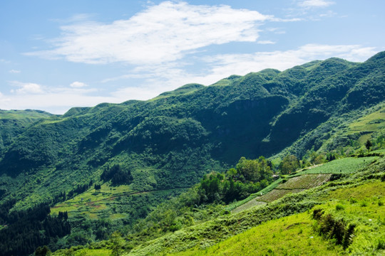 山地 青山