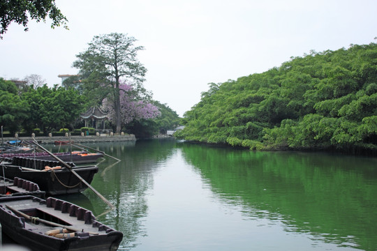 水景 树林