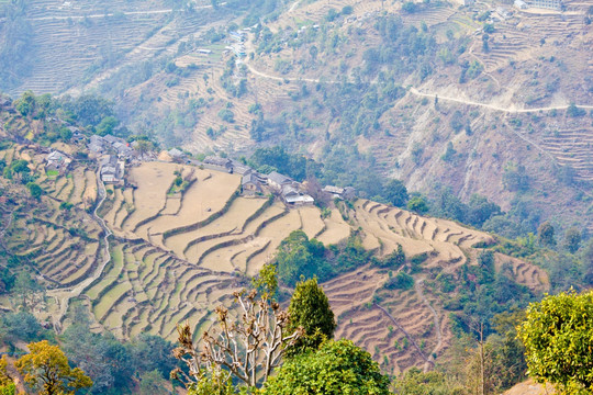 尼泊尔徒步 大山里的梯田