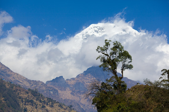 尼泊尔安娜普尔纳雪山