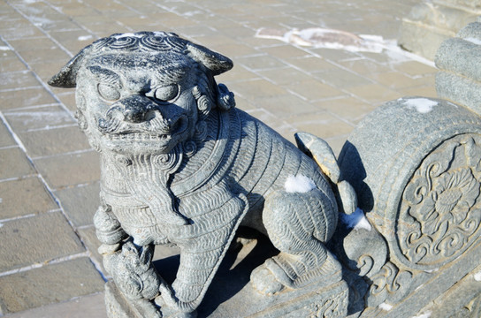 清昭陵母狮子石雕