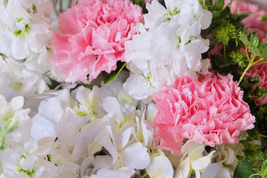 鲜花