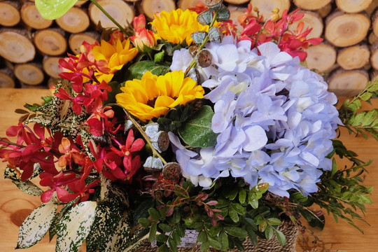 鲜花