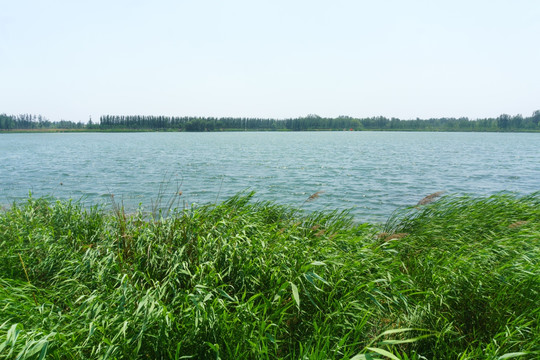 济南龙湖湿地