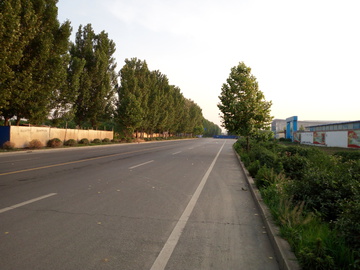 早晨的道路