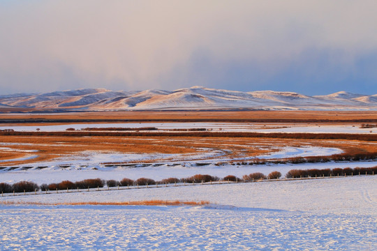 雪野牧场风景