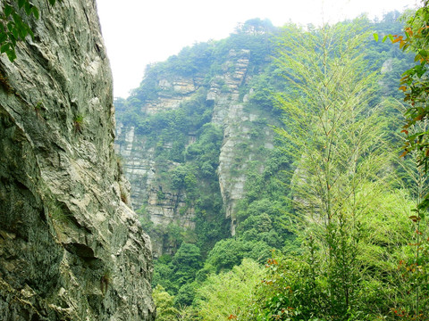 山石景观