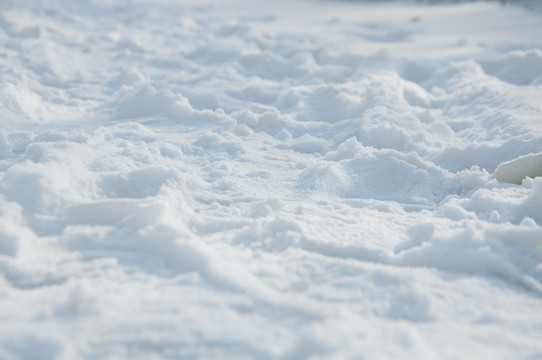 雪地早晨