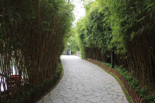 竹林小道