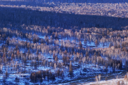 林海雪原