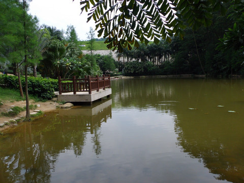 湖水风景