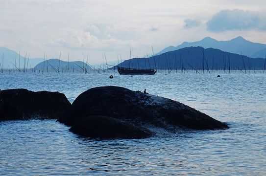 霞浦东壁滩涂