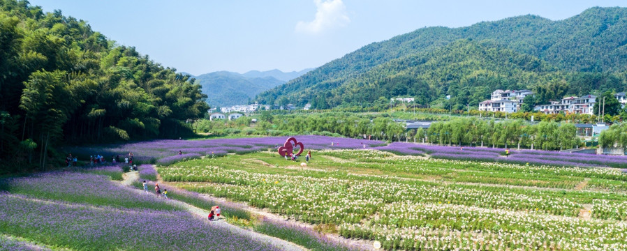 梅岭花海