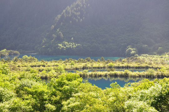 山林