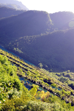 山林