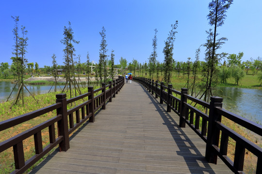湿地栈桥