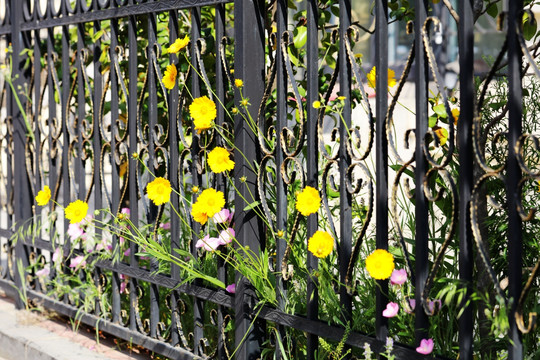欧式铁艺庭院栏杆