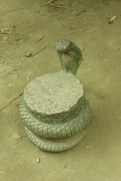 蛇