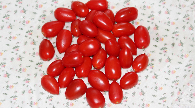 圣女果 西红柿 小番茄