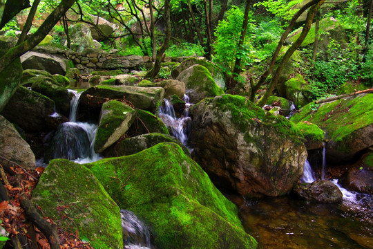 老君山风光