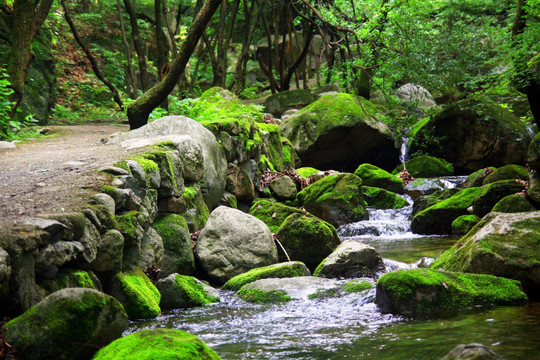 老君山风光