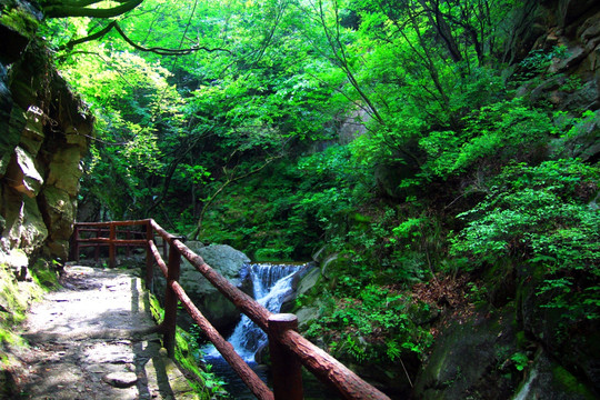 老君山风光