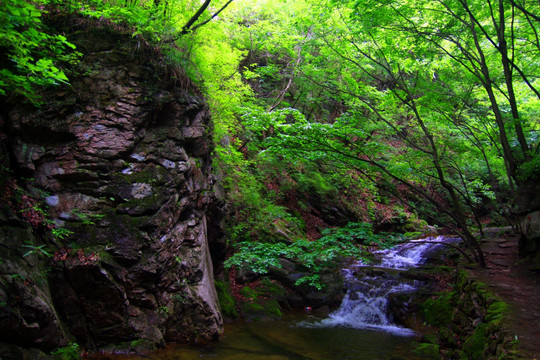 老君山风光