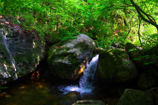 老君山风光