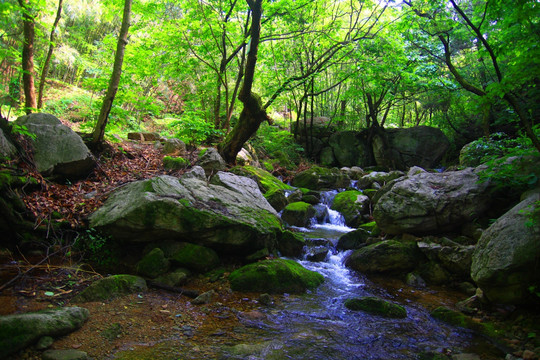老君山风光