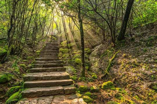 武夷山虎啸岩风景区