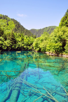 湖光山色