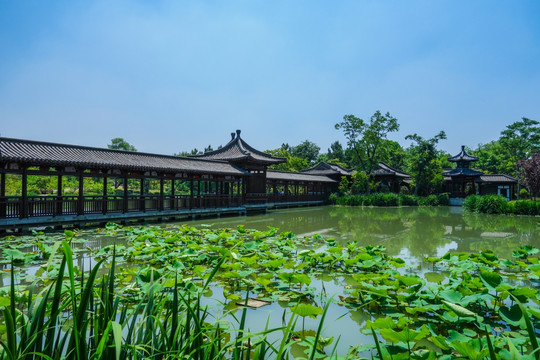 瘦西湖