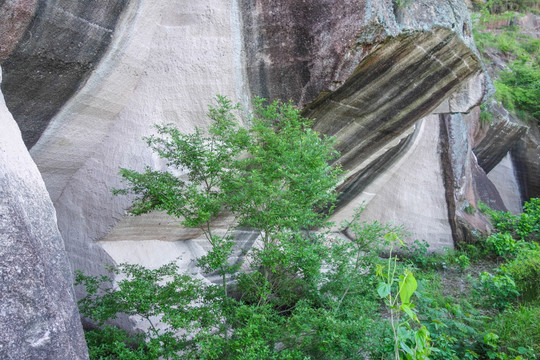 芙蓉峡