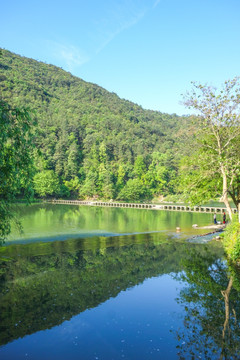 鼎湖峰