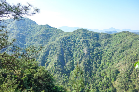 鼎湖峰