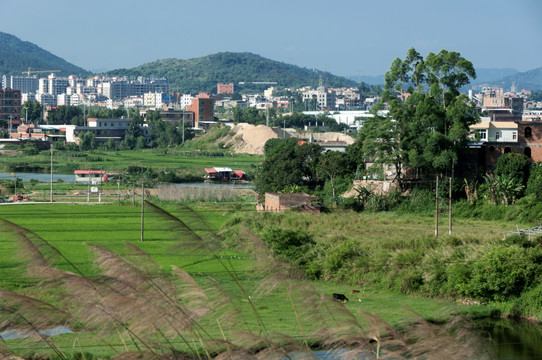 农村土地