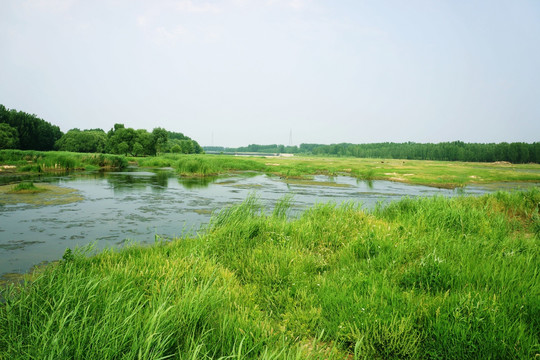 东平湖湿地