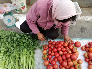 蔬菜市场