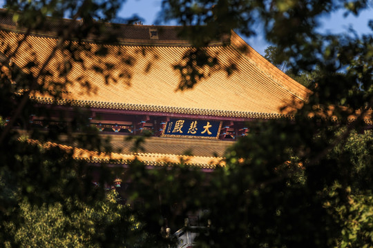 寺庙大悲殿