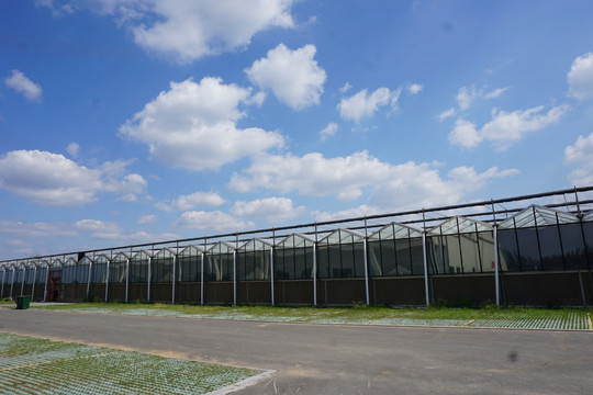 温室大棚种植中心