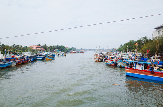 斯里兰卡尼甘布渔村河道和港口