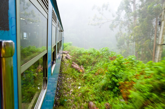 斯里兰卡高山茶园火车
