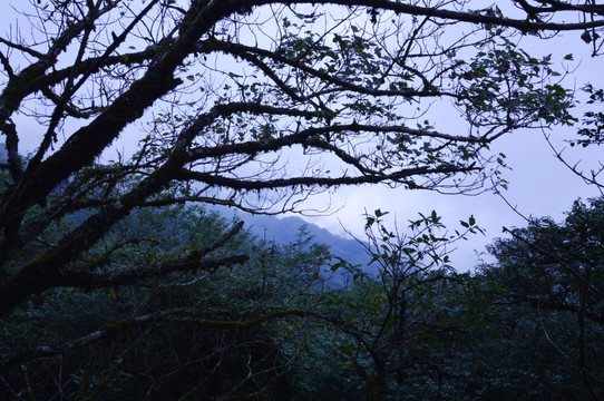 梵净山风景