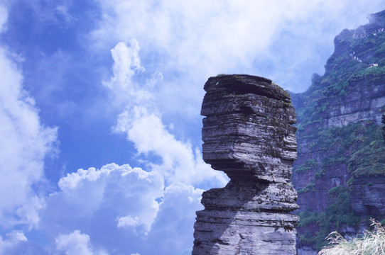 梵净山风景 蘑菇石