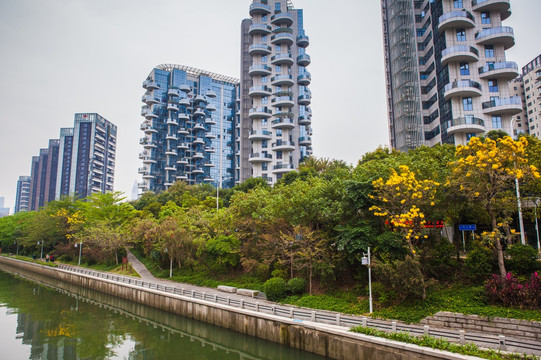 深圳后海中心河景观